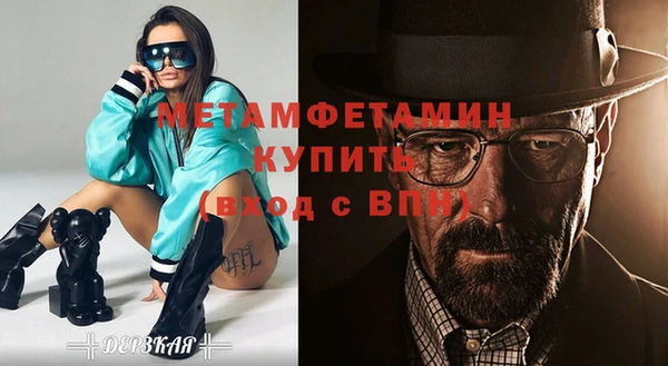 прущие грибы Соль-Илецк