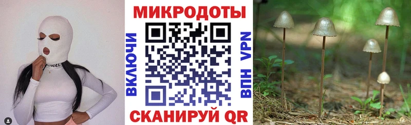 где найти   Сольцы  Галлюциногенные грибы мицелий 